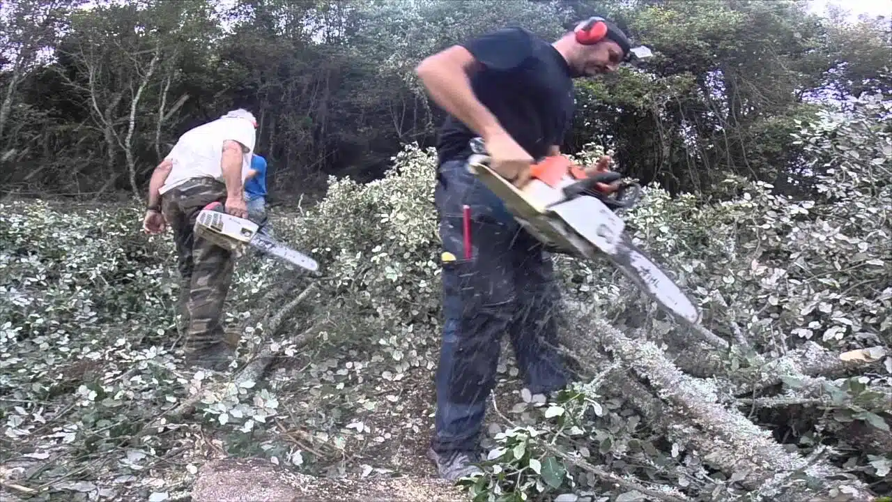 Comment couper du bois devient facile avec une tronçonneuse ?